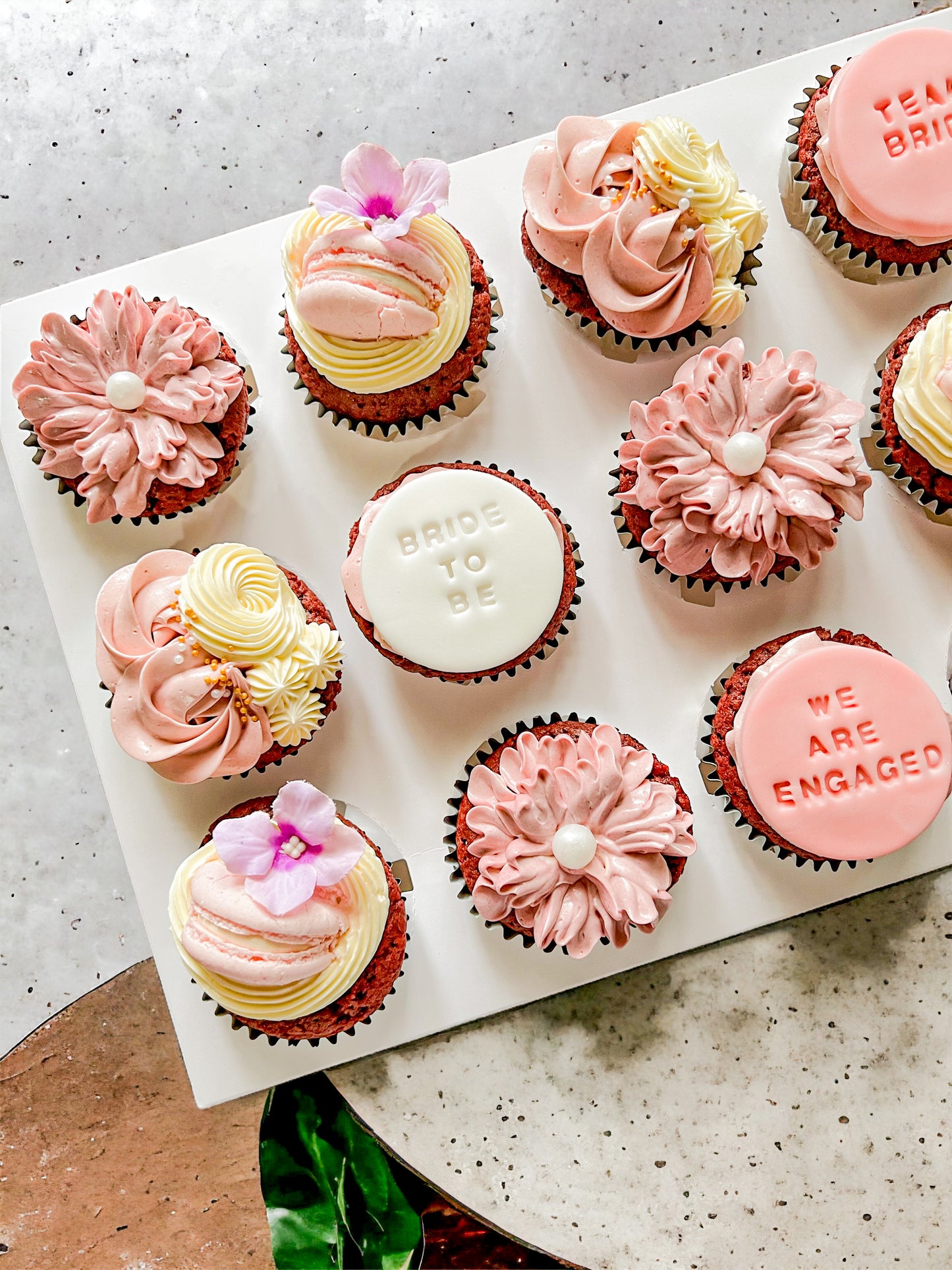 Blush Bride Cupcake Set